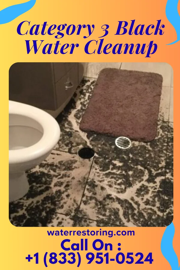 Category 3 Black Water Cleanup in Saxon, SC