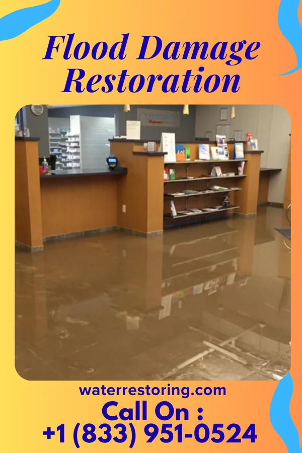Flood Damage Restoration in Saxon, SC