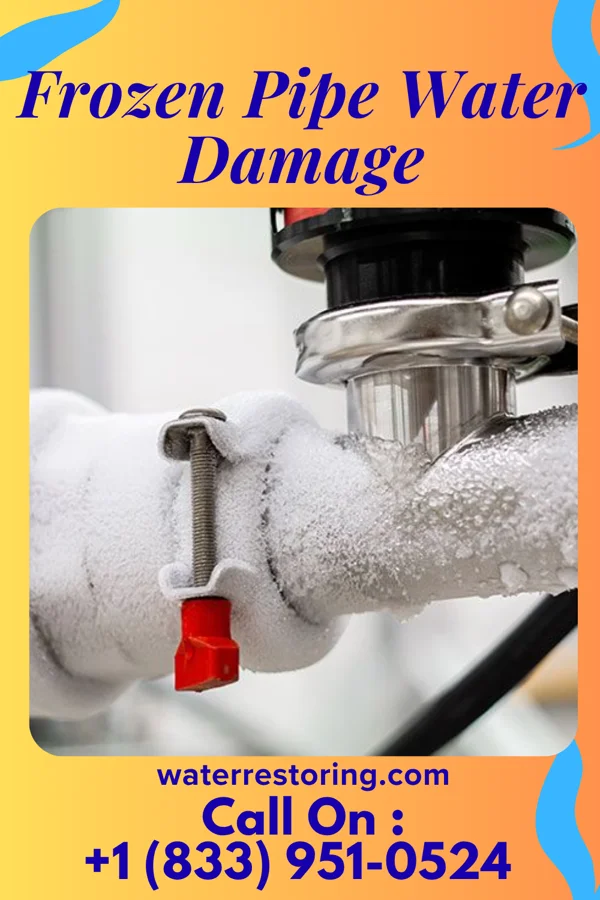 Frozen Pipe Water Damage in Saxon, SC