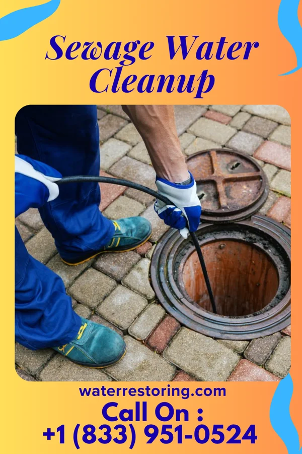 Sewage Water Cleanup in Saxon, SC
