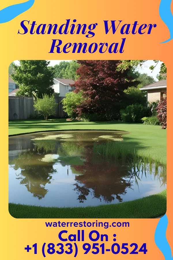 Standing Water Removal in Saxon, SC